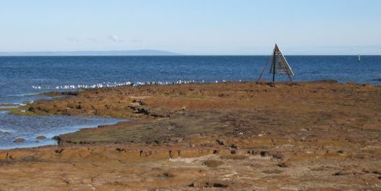Ricketts Point Marine Sanctuary