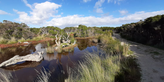Scenic Estate Conservation Reserve