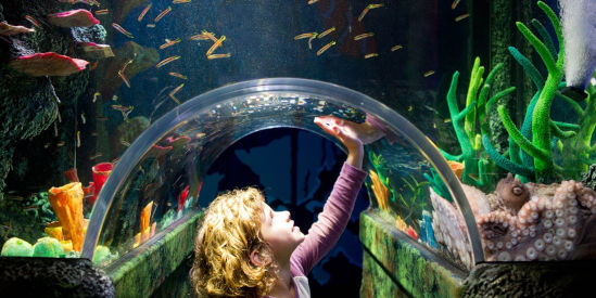 Sea Life Melbourne Aquarium