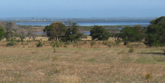Swan Bay - Edwards Point Wildlife Reserve