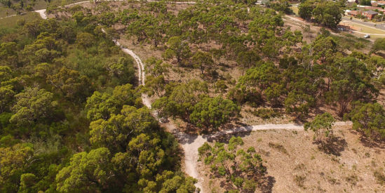 The Pines Flora & Fauna Reserve