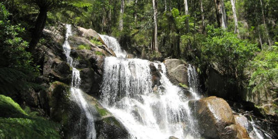 Toorongo Falls Reserve