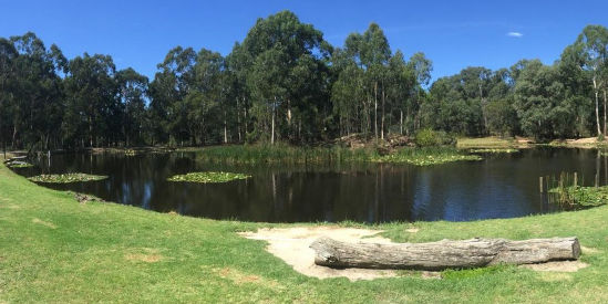 Australian Rainbow Trout Farm