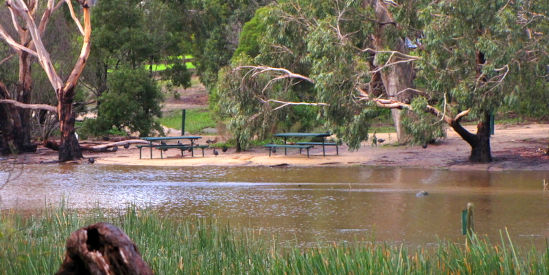 Traralgon Railway Reservoir Conservation Reserve