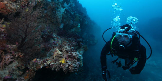Twelve Apostles Marine National Park