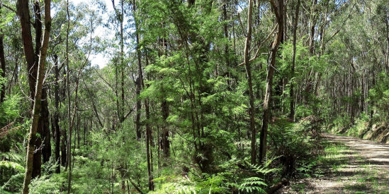Tyers Park