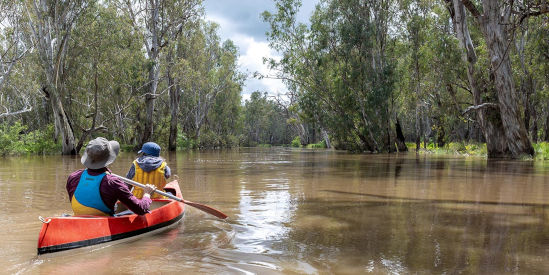 Warby-Ovens National Park
