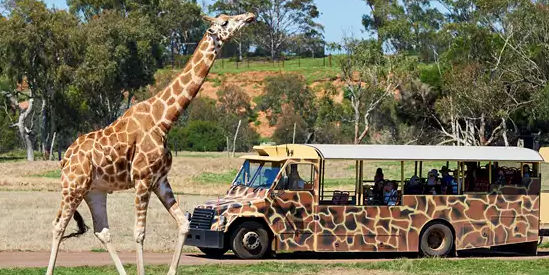 Werribee Open Range Zoo
