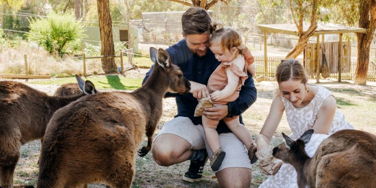 Ballarat Wildlife Park