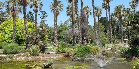 Williamstown Botanic Gardens