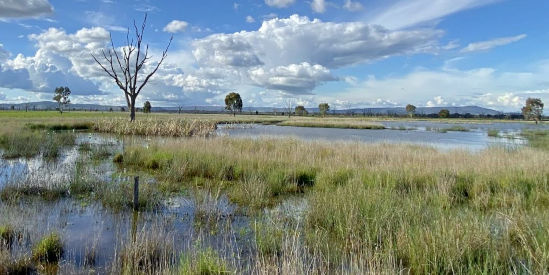 Winton Wetlands