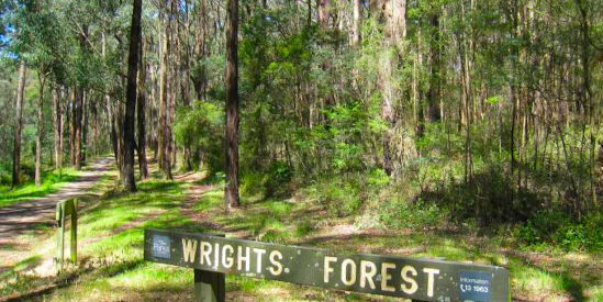 Wright Forest Bushland Area