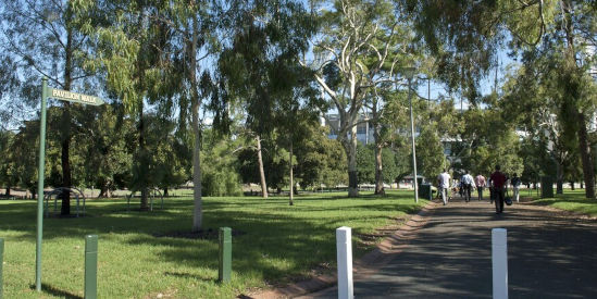 Yarra Park