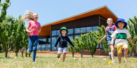 Yarra Valley Chocolaterie