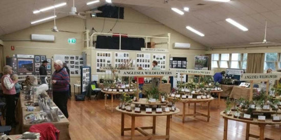 Angair Wildflower & Art Weekend