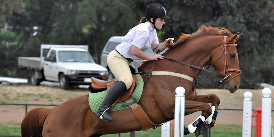 Bendigo Agricultural Show