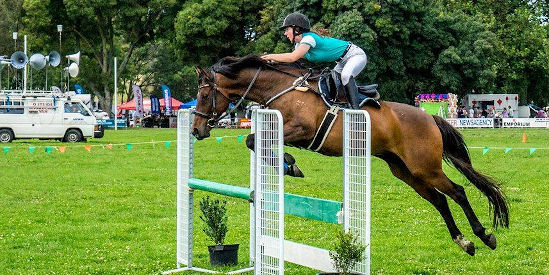 Foster & District Agricultural Show