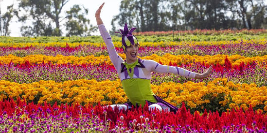 Kabloom Festival of Flowers