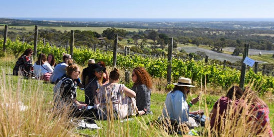 Peninsula VineHop Festival
