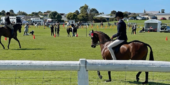 Port Fairy Show