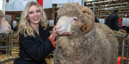 Australian Sheep & Wool Show