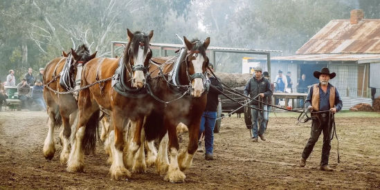 Steam, Iron & Trades Revival