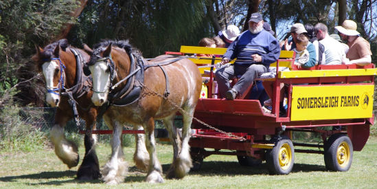 Tarwin Lower Festival