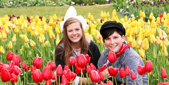 Tesselaar Tulip Festival