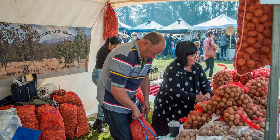 Wandiligong Nut Festival