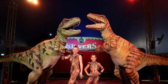 Silvers Circus