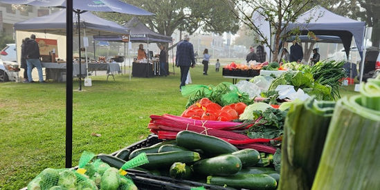Mansfield Farmers Market