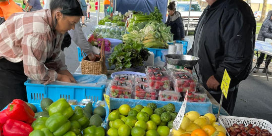 Traralgon Farmers Market
