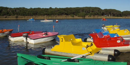 Anglesea Paddle Boat & Canoe Hire