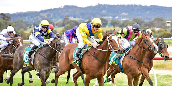 Ararat Turf Club