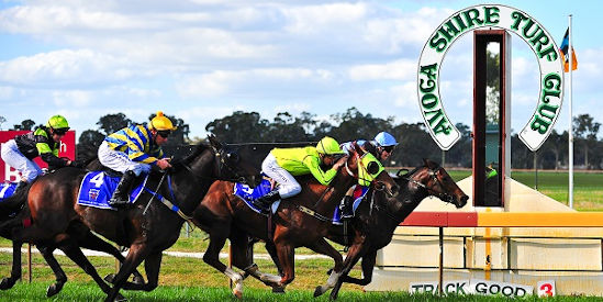 Avoca Shire Turf Club