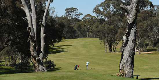 Axedale Golf Course