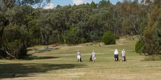 Beechworth Golf Club