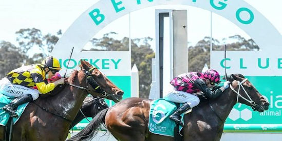 Bendigo Jockey Club