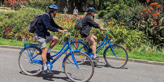 Blue Tongue Bike Rentals