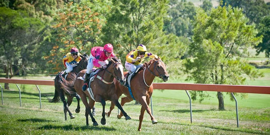 Drouin Picnic Racing Club