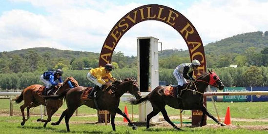 Healesville Amateur Racing Club