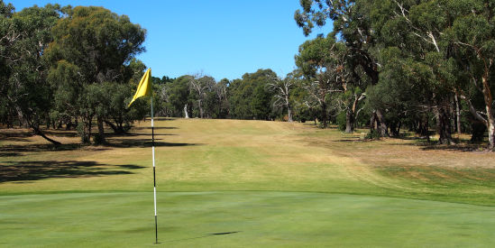 Kyneton Golf Club