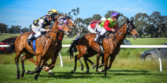 Mansfield District Racing Club