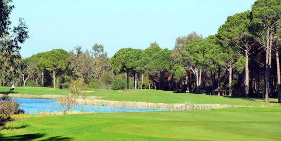 Midlands Golf Club