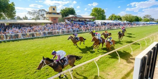 Wodonga & District Turf Club