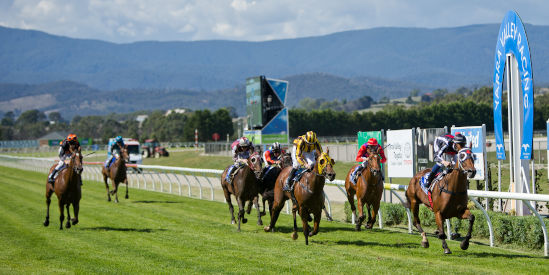 Yarra Valley Racing