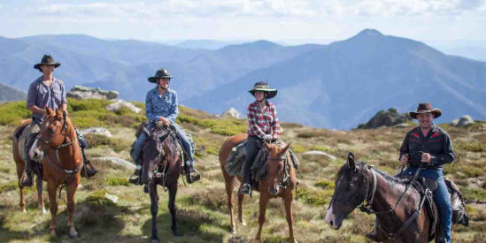 Bogong Horseback Adventures