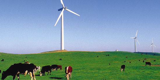 Codrington Wind Farm Tours