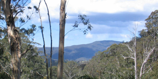 Eco-Adventure Tours