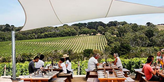 Epicurean Food & Wine Tours